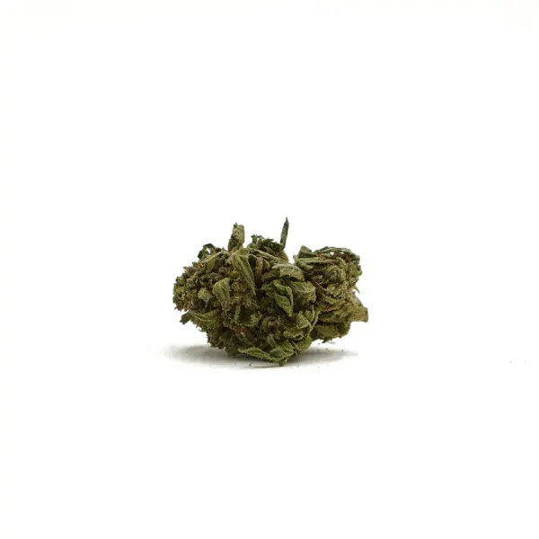 Petites Lemon Small Buds