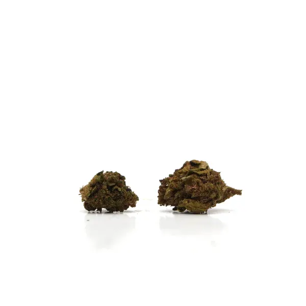 Petites Purple Haze Small Buds
