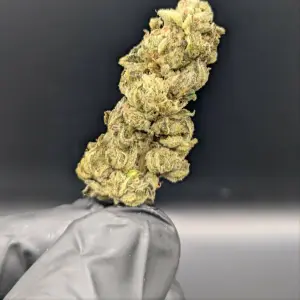 Pineapple Frost