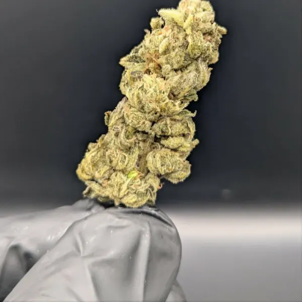Pineapple Frost
