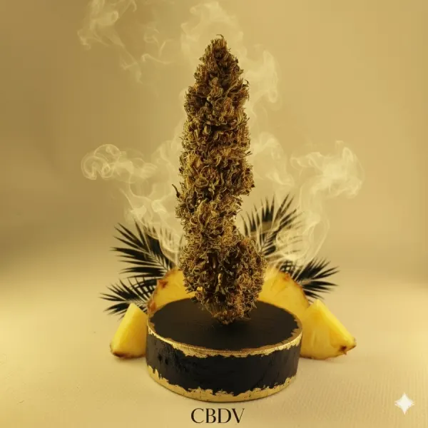 Pinewalker Cbdv Premium