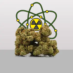 Plutonium Hydroponique Indoor
