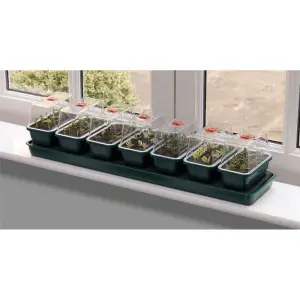 Propagateur A Arrosage Automatique Super 7
