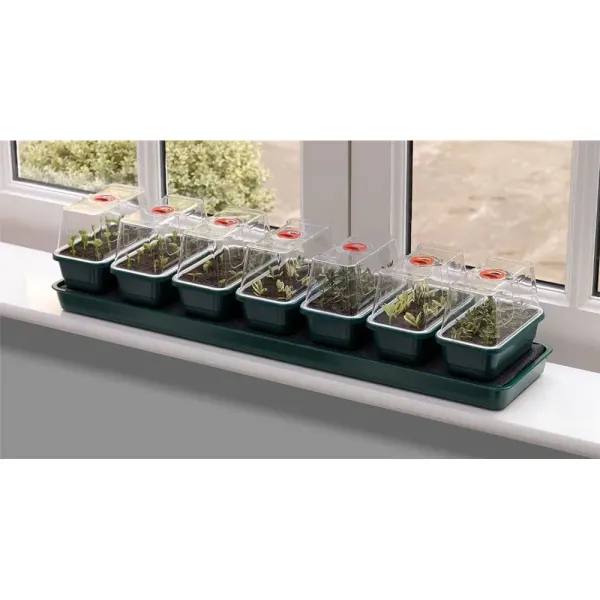 Propagateur A Arrosage Automatique Super 7