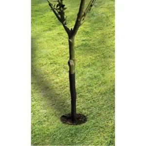 Protege Arbre Spirale 61cm