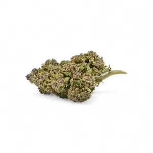 Purple Cookie Premium