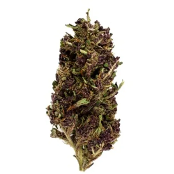 Purple Haze Indoor