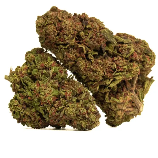 Purple Skunk