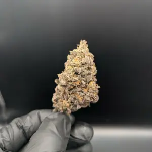 Rainbow Sherbet
