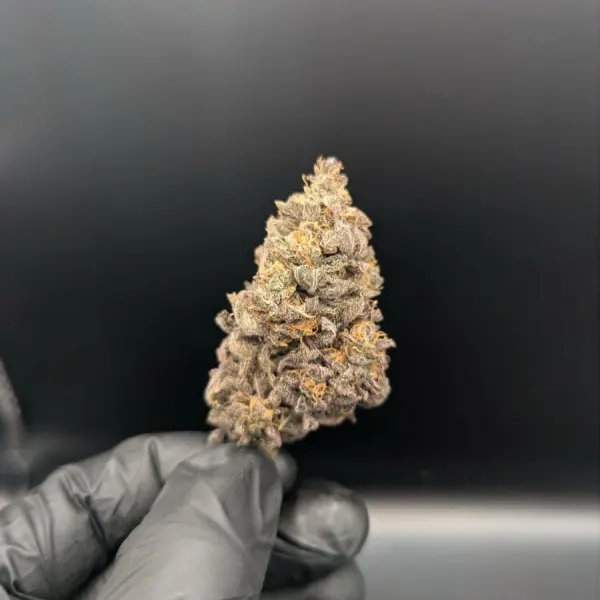 Rainbow Sherbet