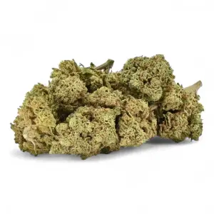 Remedy Premium