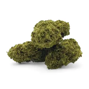 Remedy Premium Indoor