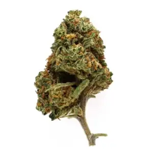 Royal Cookies Indoor