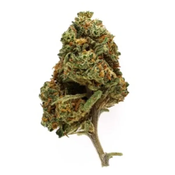 Royal Cookies Indoor