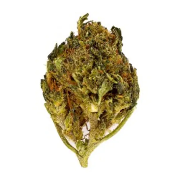 Royal OG Small Buds