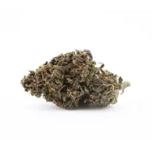 Saphire Kush