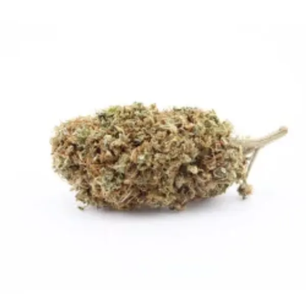 Sapphyre Kush