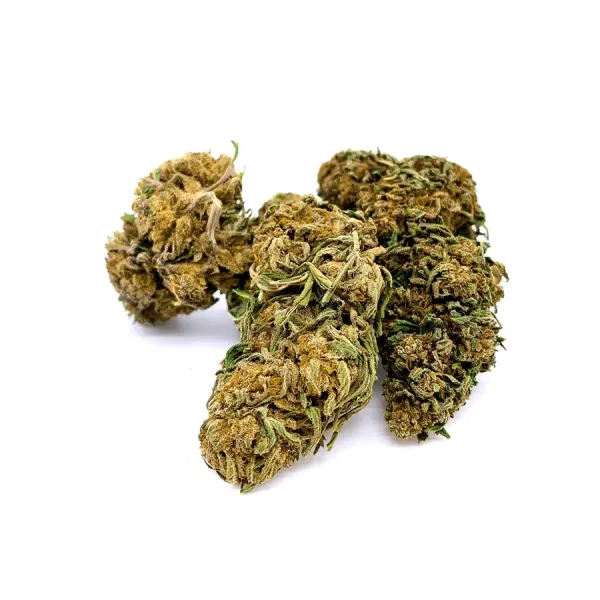 Sherbet