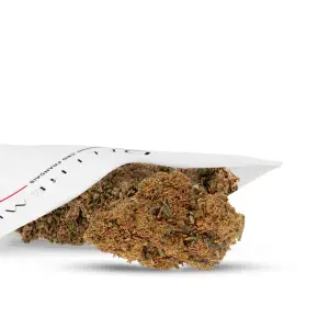 Skywalker Indoor