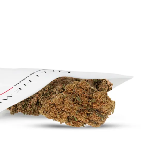 Skywalker Indoor