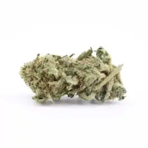 Sour Diesel Small Buds