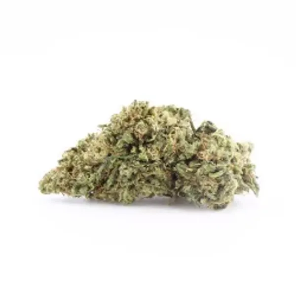 Sour Jack US Premium