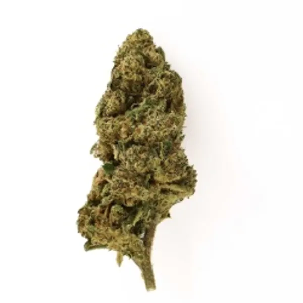 Sour Widow