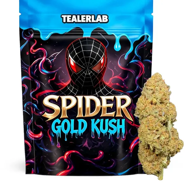 Spider Gold Kush Boosté