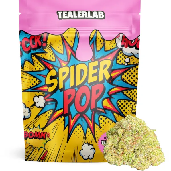 Spider Pop Boosté