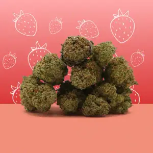 Strawberry Indoor