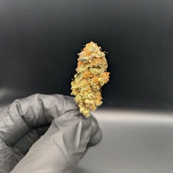 Strawberry Splitz