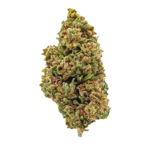 Super Lemon