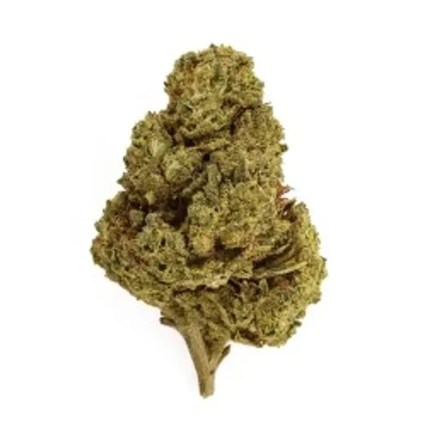 Super Lemon Haze Indoor