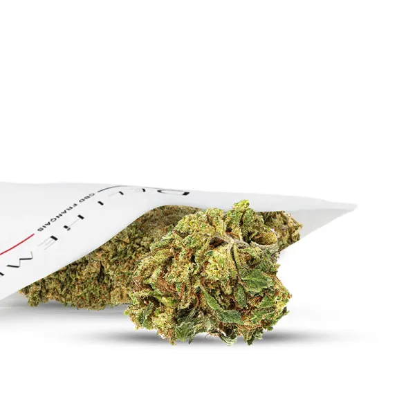 Super Silver Haze