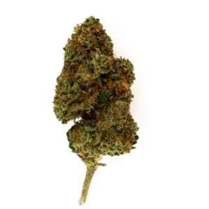 Super Skunk