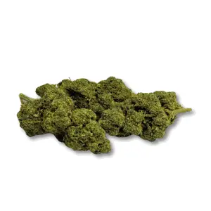 Sweet Cheese Indoor