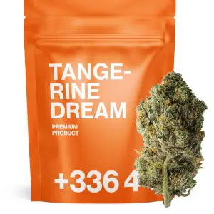Tangerine Dream