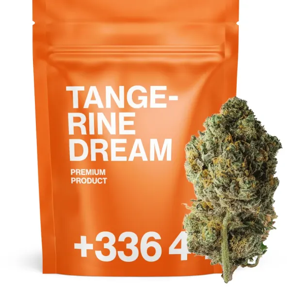 Tangerine Dream
