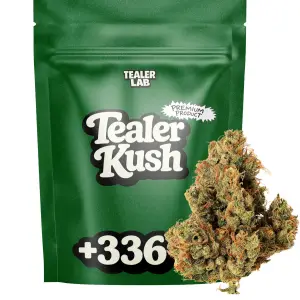 Tealer Kush