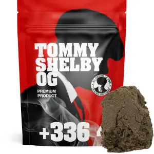 Tommy Shebly OG Boosté