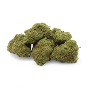 Tropical Haze Premium Indoor