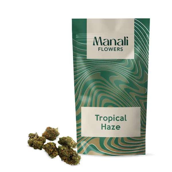 Tropical Haze Small Buds