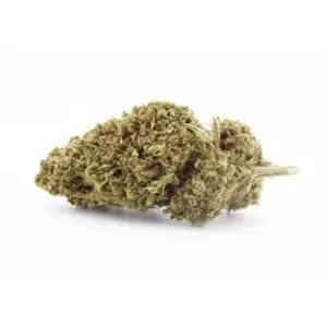 Tropical Punch