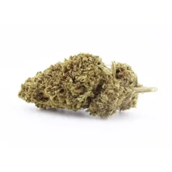 Tropical Punch
