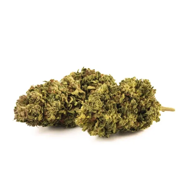 Tropicana Cookie