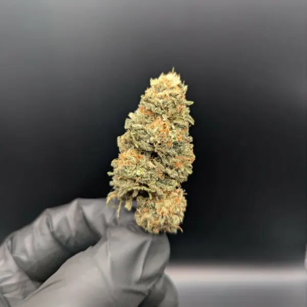 Tropik Cbdv