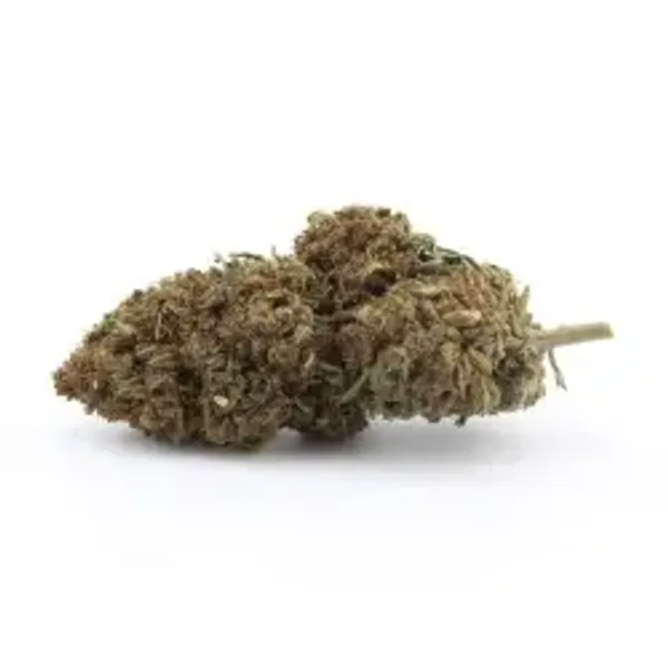 Tsunami