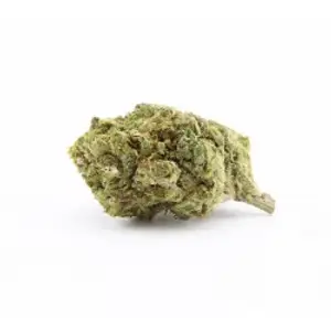 Venom OG