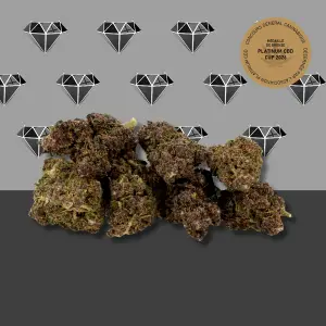 Wax Black Diamond