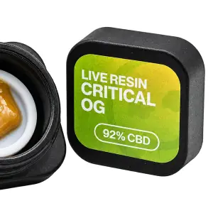 Wax Live Resin Critical OG